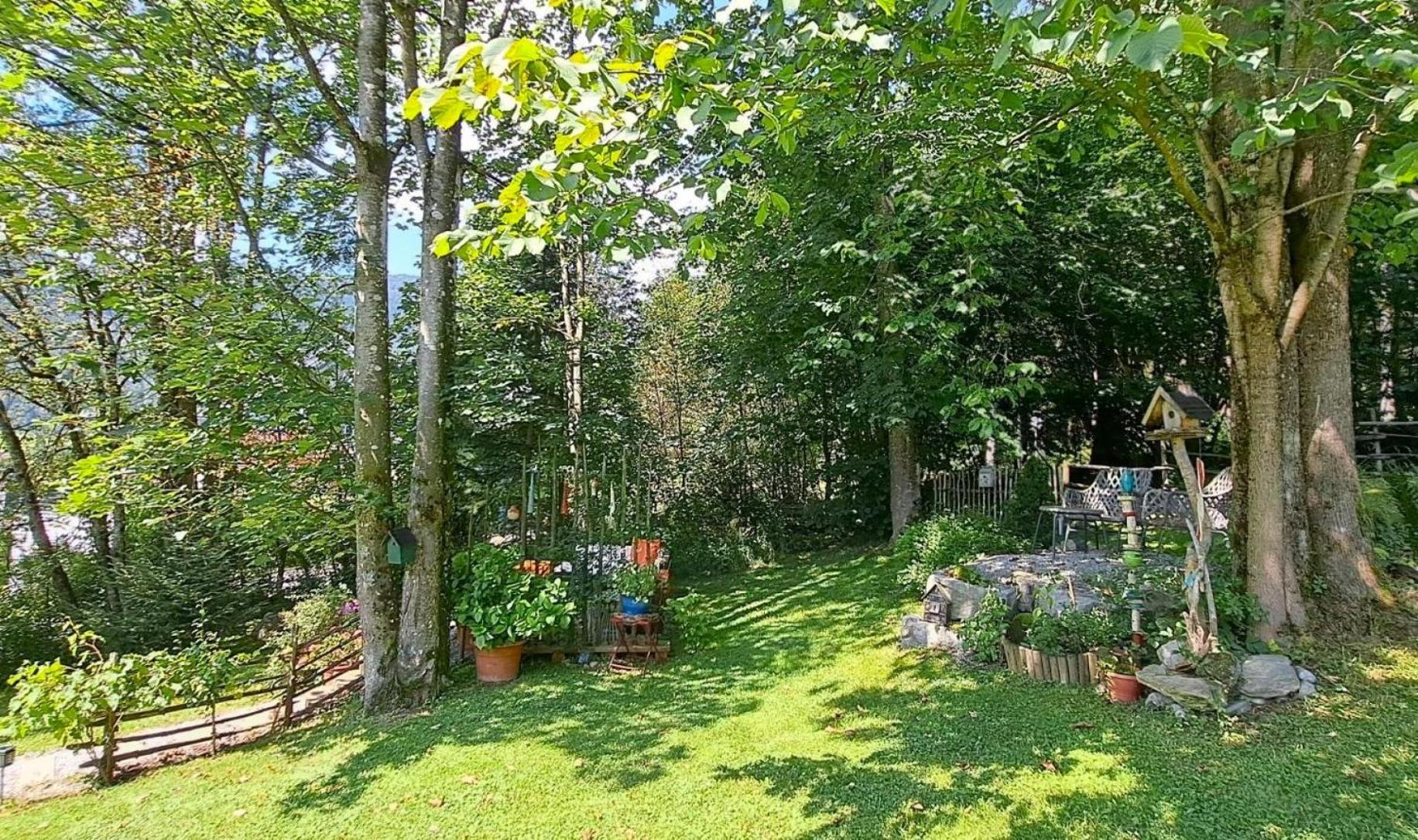 Ferienhaus Lechner Fuer Max 10 Personen - Wald Und Naturgarten Abtenau Esterno foto